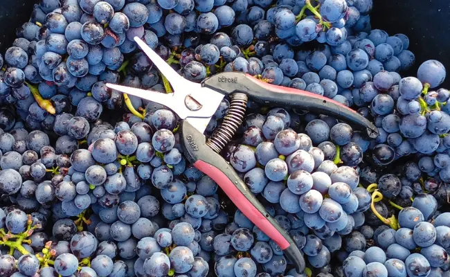 Design sans titre (8)